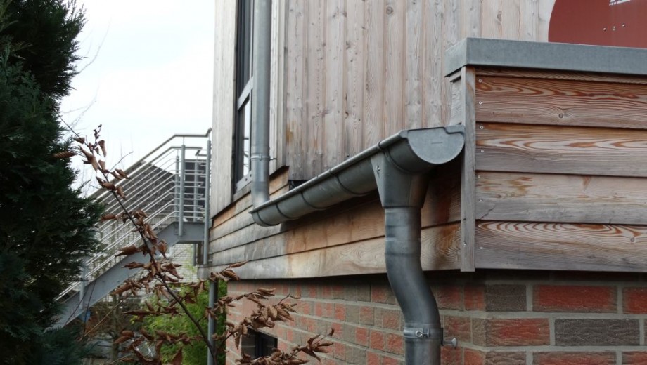 Holzfassade mit Dachrinne, Metalltreppe und Pflanzen im Vordergrund; natürliche und moderne Optik.