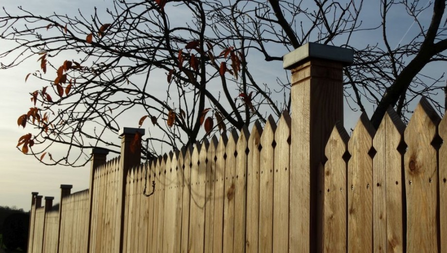 Ein Holzzaun vor einem kahlen Baum mit wenigen orangefarbenen Blättern unter bewölktem Himmel.