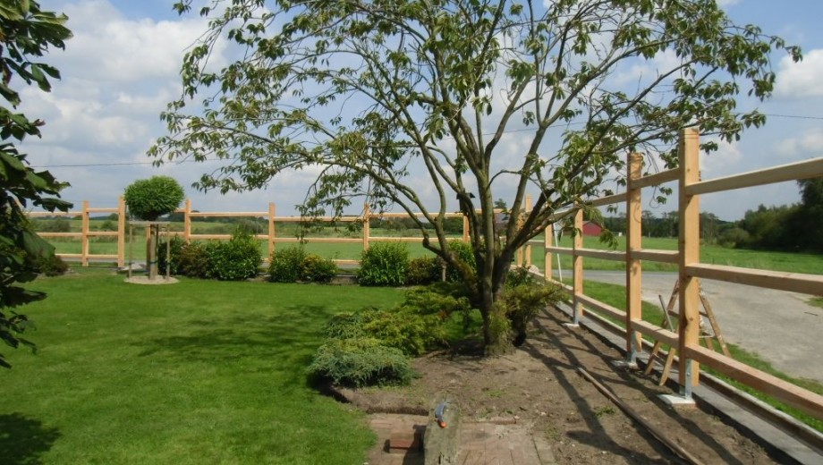 Ein großer Baum im gepflegten Garten mit Holzzaun, grünem Rasen und blauem Himmel im Hintergrund.