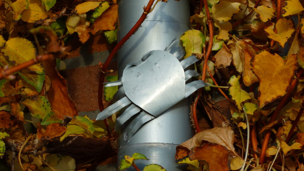 Herbstlaub umgibt ein silbernes Rohr mit einem daran befestigten metallischen Herz.