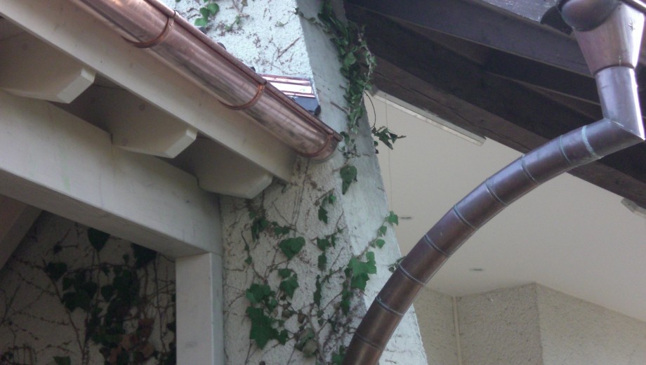 Ein Gebäude mit Kupferregenrinne, Efeu an der Wand und einem Dachvorsprung in ruhiger, natürlicher Umgebung.