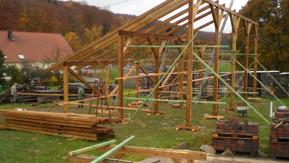 Eine Baustelle im Freien zeigt Arbeiter, die ein Holzgerüst aufbauen, umgeben von herbstlicher Natur.