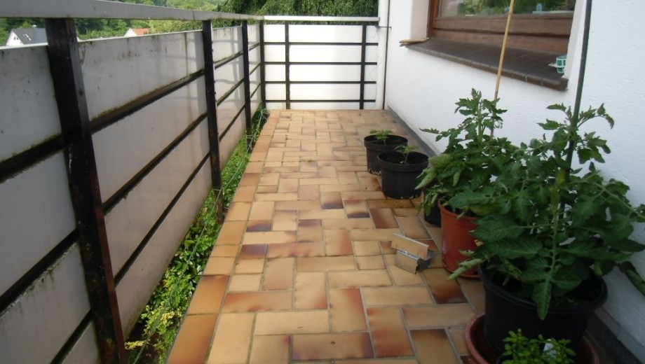 Ein ruhiger Balkon mit grünen Pflanzen in Töpfen, einem dunklen Metallgeländer und einem weißen Fenster.