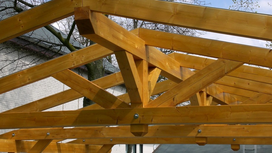 Holzkonstruktion eines Dachgerüsts vor einem Gebäude, umgeben von Bäumen an einem klaren Tag.