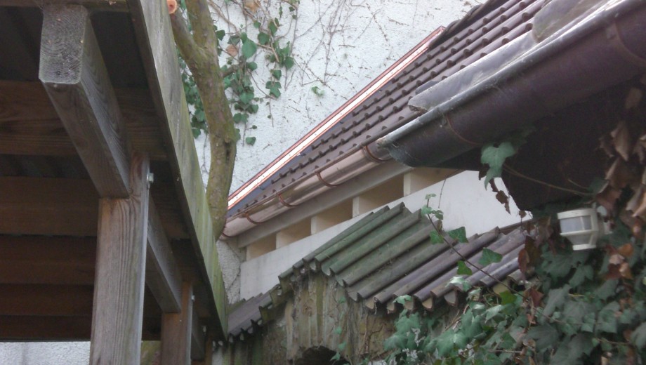 Ein ruhiger Gartenbereich mit hölzerner Pergola, Ziegeldach und üppigen Rankenpflanzen.